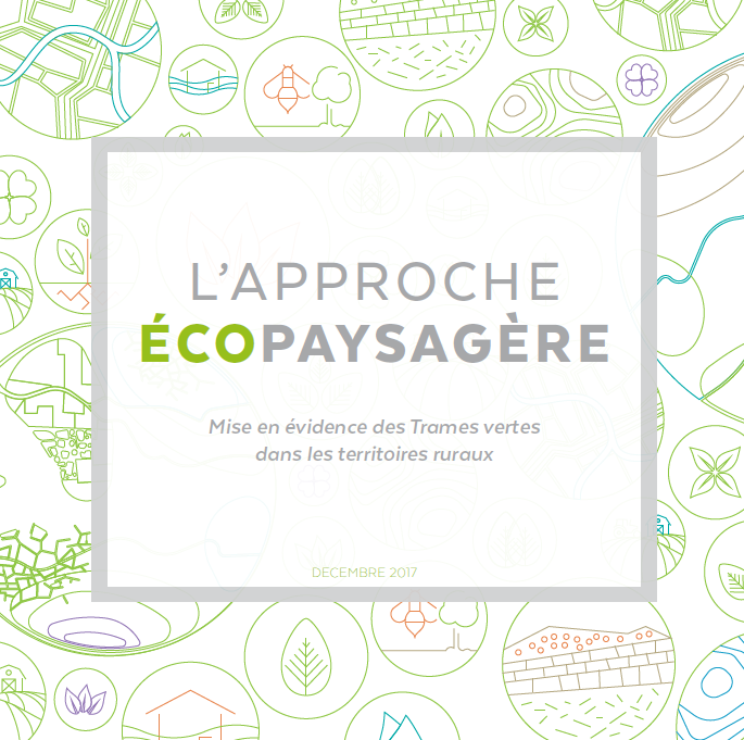 ACE Nouvelle aquitaine