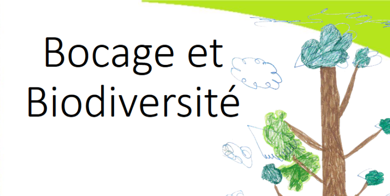 Bocage et biodiversité