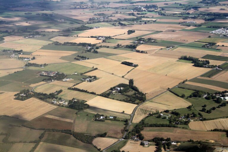 Évaluation écologique multi-échelle des images de télédétection